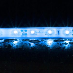 Strip Weatherproof 4.8 Watt 12V LED 1 Metre Flexible Strip Light / Blue - 20052