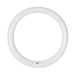 Circular T9 Fluorescent Tube 32W Cool White - CLAFCL32WCW