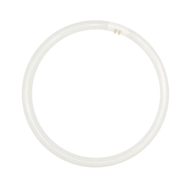 Circular T5 Fluorescent Tube 55W / Natural White - GL T5R-55W-5000K