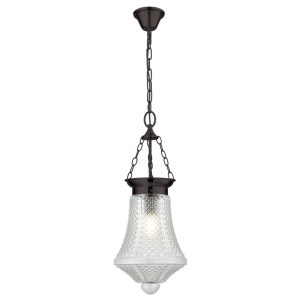 Maya 1 Light Lantern Pendant Clear - 31330