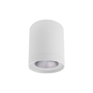 Column Surface Mounted 13W LED Downlight Matt White / Cool White - S9603/80/15CW