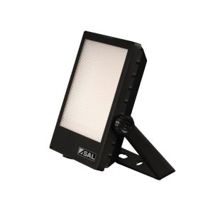 Bright Star 30W Commercial LED Floodlight Black Finish / Warm White - SE7199/30WW/BK