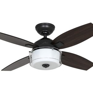 Central Park 42" AC Ceiling Fan Aged Steel - 50618