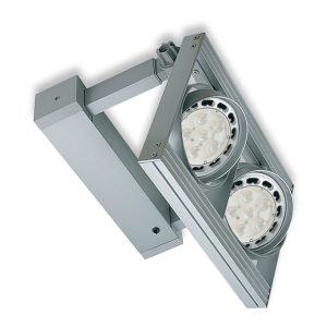 Double RL111 Gimble Frame Spotlight Silver - SR2-SI