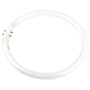 Circular Fluorescent 22W 2GX13 Cool White - A-T5C-22/840