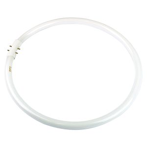 Circular Fluorescent 40W 2GX13 Cool White - A-T5C-40/840