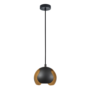 Interior Iron Pendant Matt Black - VAINA1