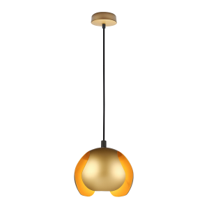 Interior Iron Pendant Matt Gold - VAINA3