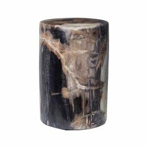 Binga Petrified Wood Table Natural - FUR1050NAT