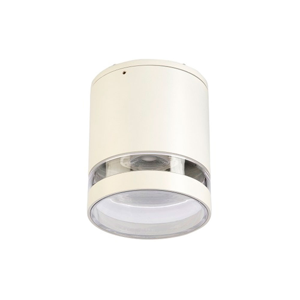 Bardo GU10 240V Surface Mounted Downlight White - BARDO WHT